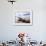 Moeraki Boulders #3, New Zealand 98-Monte Nagler-Framed Photographic Print displayed on a wall