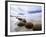 Moeraki Boulders #3, New Zealand 98-Monte Nagler-Framed Photographic Print