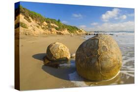 Moeraki Boulders Massive Spherical Rocks Which-null-Stretched Canvas