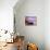 Moeraki Boulders, Moeraki, Otago, South Island, New Zealand, Pacific-Jochen Schlenker-Stretched Canvas displayed on a wall