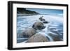 Moeraki Boulders, Moeraki, Otago, South Island, New Zealand, Pacific-John Alexander-Framed Photographic Print