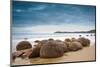 Moeraki Boulders New Zealand-null-Mounted Premium Giclee Print