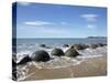 Moeraki Boulders, North Otago, South Island, New Zealand-David Wall-Stretched Canvas