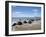 Moeraki Boulders, North Otago, South Island, New Zealand-David Wall-Framed Photographic Print