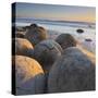 Moeraki Boulders, Otago, South Island, New Zealand-Rainer Mirau-Stretched Canvas