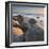 Moeraki Boulders, Otago, South Island, New Zealand-Rainer Mirau-Framed Photographic Print