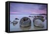 Moeraki Boulders, South Island, New Zealand-Doug Pearson-Framed Stretched Canvas