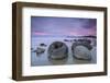 Moeraki Boulders, South Island, New Zealand-Doug Pearson-Framed Photographic Print