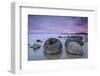 Moeraki Boulders, South Island, New Zealand-Doug Pearson-Framed Photographic Print