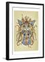 Mog Morgana Le Fay-Linda Ravenscroft-Framed Giclee Print