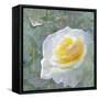 Mogador Garden 1A-Bill Jackson-Framed Stretched Canvas