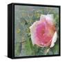 Mogador Garden 2A-Bill Jackson-Framed Stretched Canvas