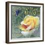 Mogador Garden 5A-Bill Jackson-Framed Giclee Print