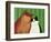 Moggies, 1994-Magdolna Ban-Framed Giclee Print