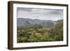 Mogotes in the Vinales Valley, UNESCO World Heritage Site, Pinar Del Rio, Cuba, West Indies-Yadid Levy-Framed Photographic Print