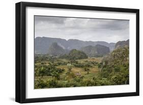 Mogotes in the Vinales Valley, UNESCO World Heritage Site, Pinar Del Rio, Cuba, West Indies-Yadid Levy-Framed Photographic Print