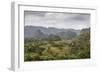 Mogotes in the Vinales Valley, UNESCO World Heritage Site, Pinar Del Rio, Cuba, West Indies-Yadid Levy-Framed Photographic Print