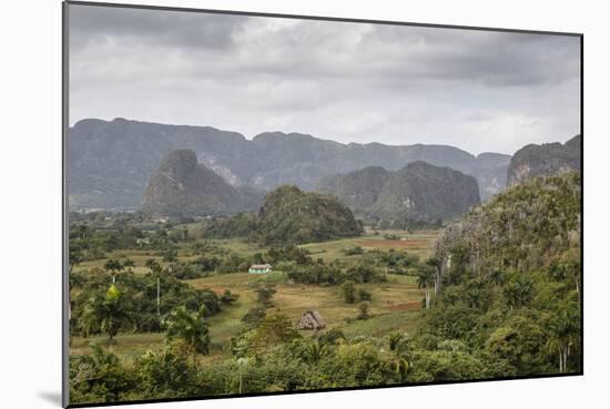 Mogotes in the Vinales Valley, UNESCO World Heritage Site, Pinar Del Rio, Cuba, West Indies-Yadid Levy-Mounted Photographic Print