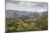 Mogotes in the Vinales Valley, UNESCO World Heritage Site, Pinar Del Rio, Cuba, West Indies-Yadid Levy-Mounted Photographic Print
