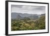 Mogotes in the Vinales Valley, UNESCO World Heritage Site, Pinar Del Rio, Cuba, West Indies-Yadid Levy-Framed Photographic Print