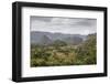 Mogotes in the Vinales Valley, UNESCO World Heritage Site, Pinar Del Rio, Cuba, West Indies-Yadid Levy-Framed Photographic Print