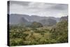 Mogotes in the Vinales Valley, UNESCO World Heritage Site, Pinar Del Rio, Cuba, West Indies-Yadid Levy-Stretched Canvas