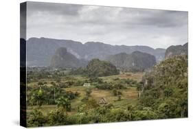 Mogotes in the Vinales Valley, UNESCO World Heritage Site, Pinar Del Rio, Cuba, West Indies-Yadid Levy-Stretched Canvas