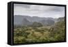 Mogotes in the Vinales Valley, UNESCO World Heritage Site, Pinar Del Rio, Cuba, West Indies-Yadid Levy-Framed Stretched Canvas