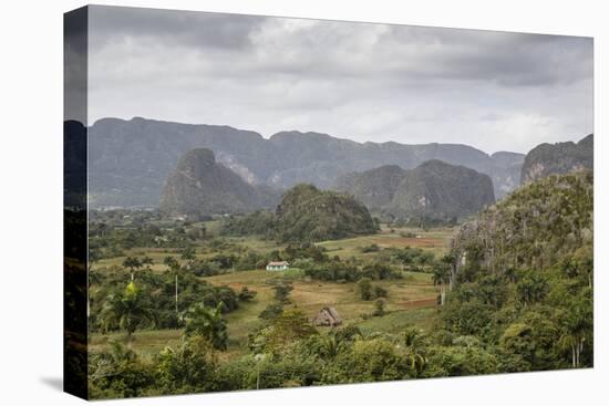 Mogotes in the Vinales Valley, UNESCO World Heritage Site, Pinar Del Rio, Cuba, West Indies-Yadid Levy-Stretched Canvas