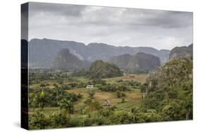 Mogotes in the Vinales Valley, UNESCO World Heritage Site, Pinar Del Rio, Cuba, West Indies-Yadid Levy-Stretched Canvas