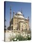 Mohamed Ali Mosque, Citadel, Cairo, Egypt, North Africa, Africa-Charles Bowman-Stretched Canvas