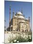 Mohamed Ali Mosque, Citadel, Cairo, Egypt, North Africa, Africa-Charles Bowman-Mounted Photographic Print