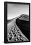Essential Black