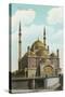 Mohammed Ali Mosque, Cairo-null-Stretched Canvas