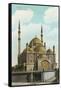 Mohammed Ali Mosque, Cairo-null-Framed Stretched Canvas