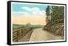 Mohawk Trail, Berkshire Hills, Mass.-null-Framed Stretched Canvas