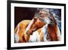 Mohican Indian War Horse-Marcia Baldwin-Framed Art Print