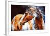 Mohican Indian War Horse-Marcia Baldwin-Framed Art Print