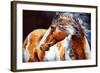 Mohican Indian War Horse-Marcia Baldwin-Framed Art Print