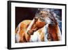 Mohican Indian War Horse-Marcia Baldwin-Framed Art Print