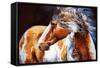 Mohican Indian War Horse-Marcia Baldwin-Framed Stretched Canvas