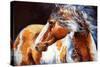 Mohican Indian War Horse-Marcia Baldwin-Stretched Canvas