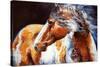 Mohican Indian War Horse-Marcia Baldwin-Stretched Canvas