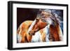 Mohican Indian War Horse-Marcia Baldwin-Framed Art Print