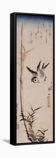 Moineau et roseau-Ando Hiroshige-Framed Stretched Canvas