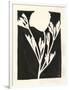 Gramercy White