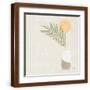 Brown Frame