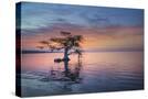 Stretched Canvas