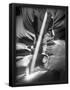 Essential Black