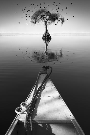Photographic Print, , large
